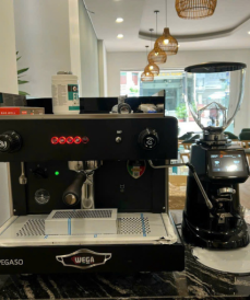 WEGA PEGASO 1group-Fiorenzato F64E