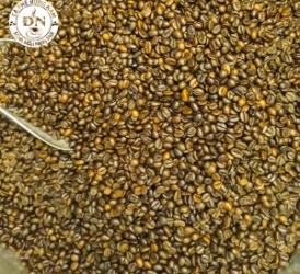 Arabica bơ pha phin 1KG