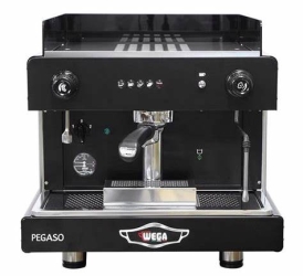 Wega Pegaso 1 Group