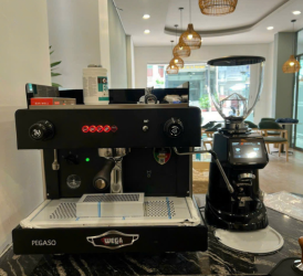 WEGA PEGASO 1group-Fiorenzato F64E