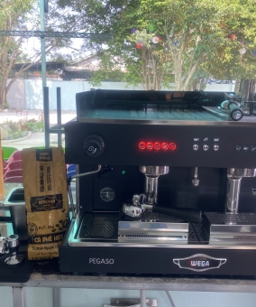 WEGA PEGASO 2group + LingDong900N