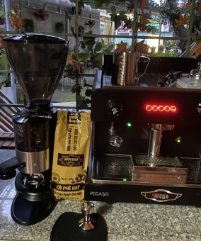 Wega Pegaso 1
