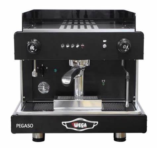 Wega Pegaso 1 Group